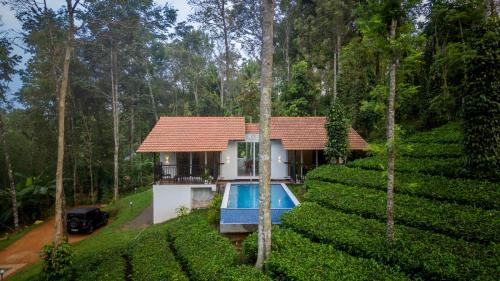 Tea garden