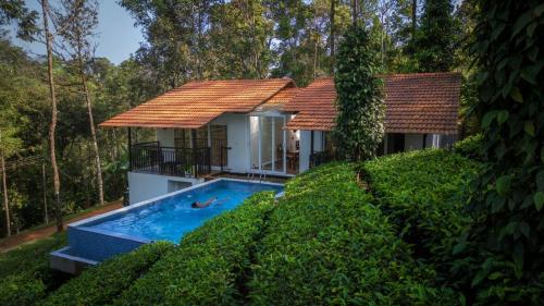 Pool & Tea lawn