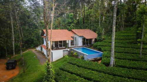 Tea garden
