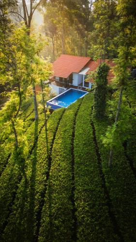 Tea Lawn Pool Villa - Tea Garden