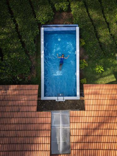 Tea Lawn Pool Villa - Pool